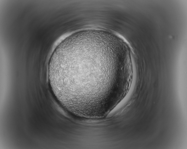 X0000083981371200703091815