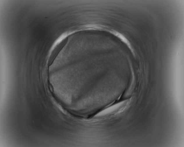 X0000083981373200703091815