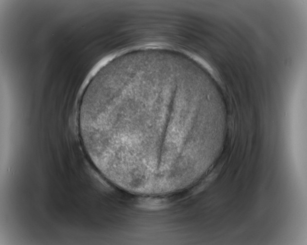 X0000083981374200703091815