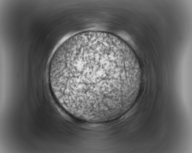 X0000083981375200703091815