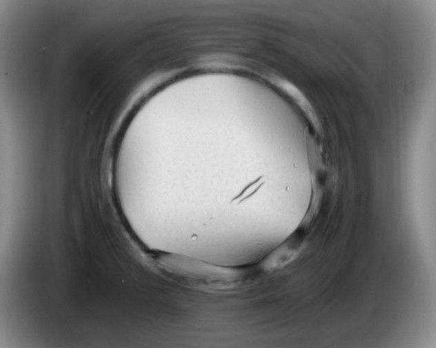 X0000083981376200703091815