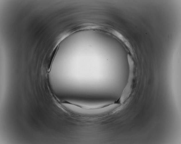 X0000083981377200703091815