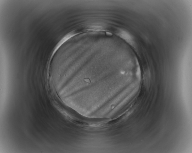 X0000083981378200703091815