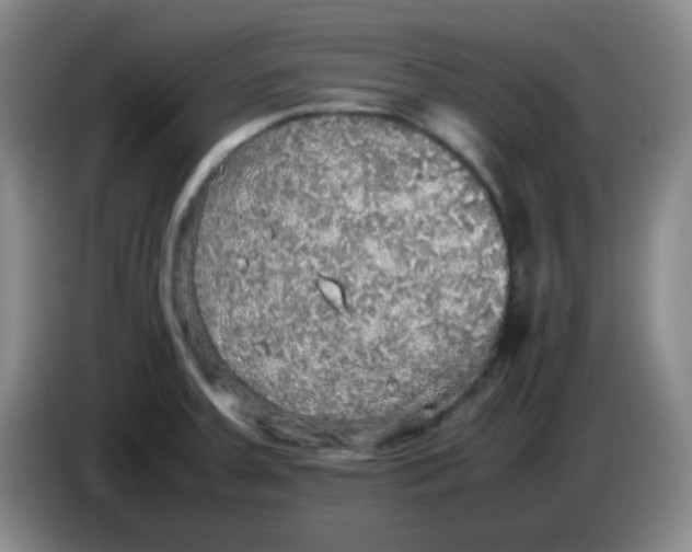 X0000083981379200703091815