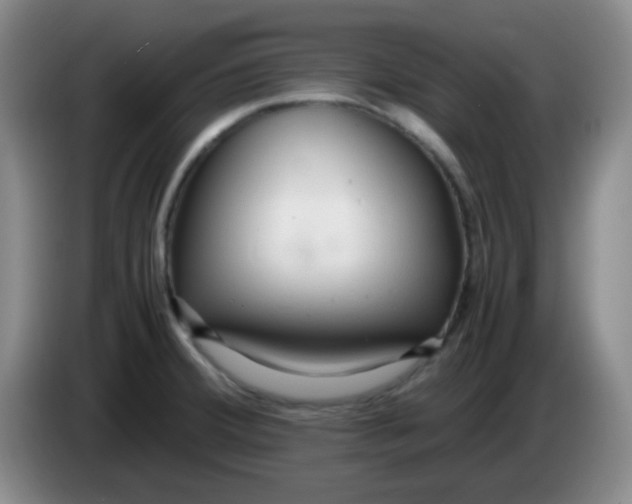 X0000083981380200703091815