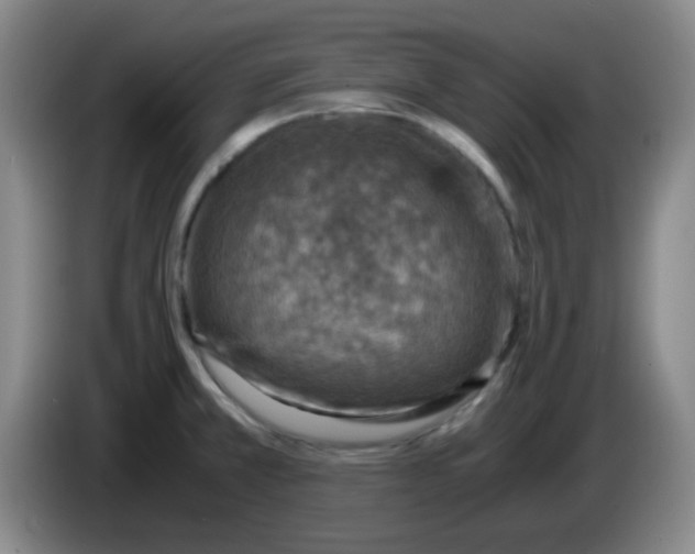 X0000083981381200703091815