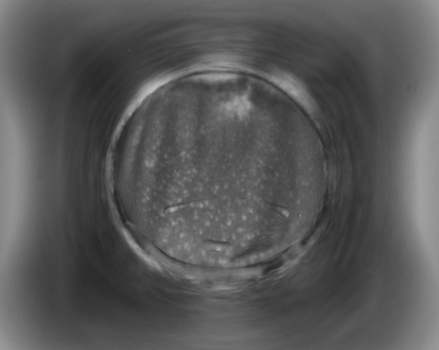 X0000083981382200703091815