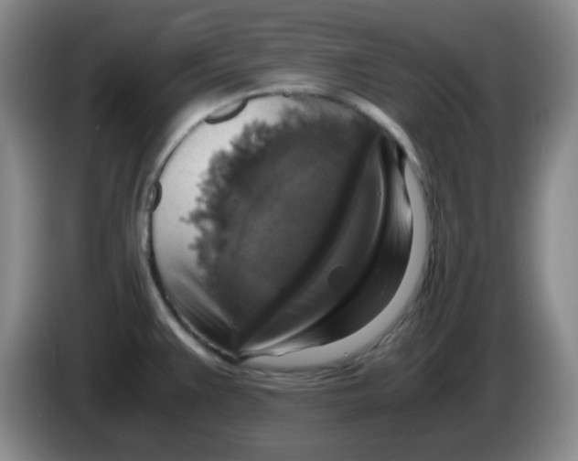 X0000083981383200703091815