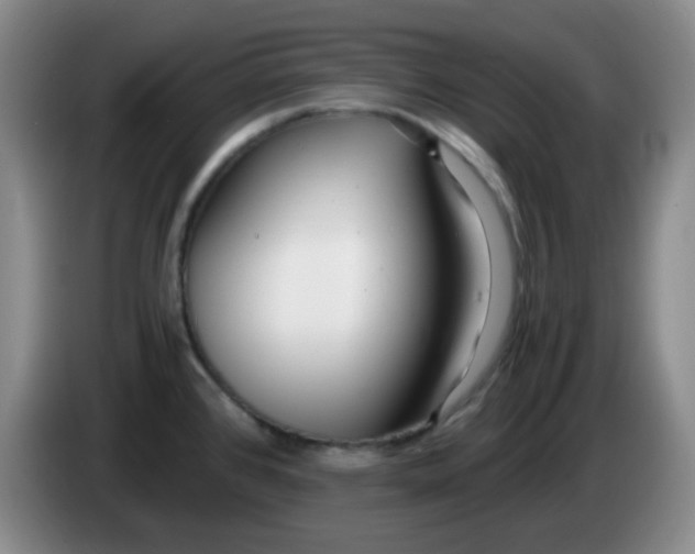 X0000083981384200703091815