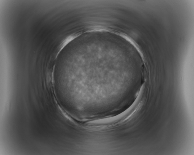 X0000083981385200703091814