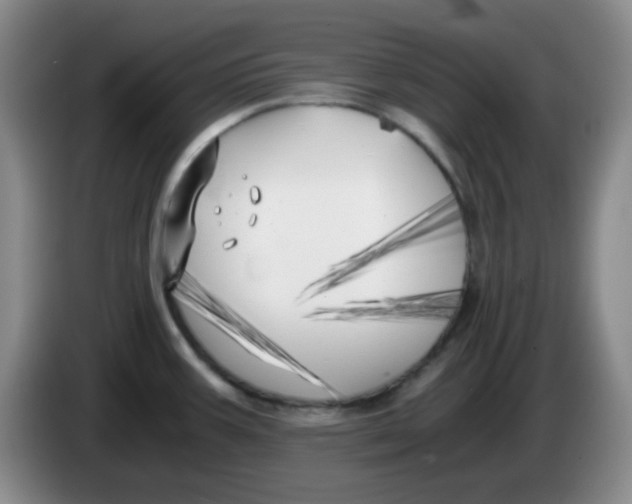 X0000083981387200703091814