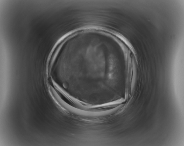 X0000083981388200703091814