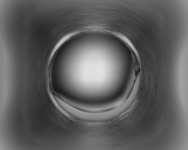 X0000083981389200703091814