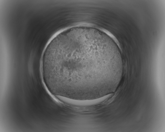 X0000083981391200703091814