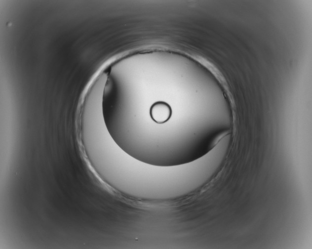 X0000083981392200703091814