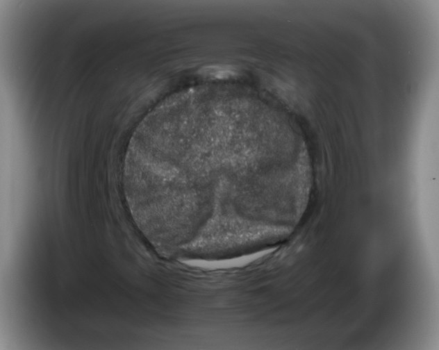 X0000083981393200703091814