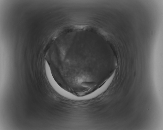 X0000083981394200703091814