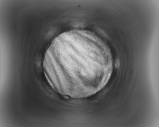 X0000083981396200703091814