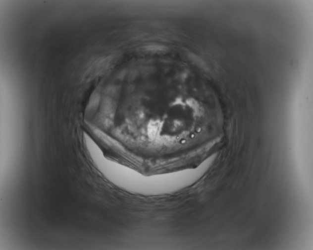 X0000083981397200703091814