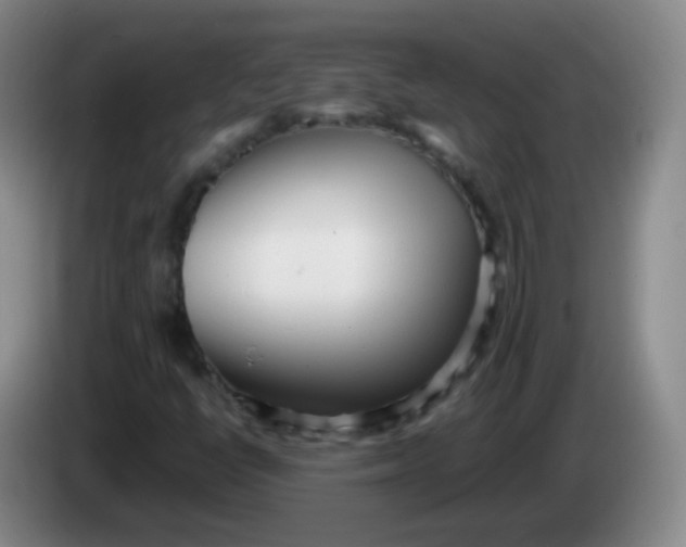 X0000083981398200703091814