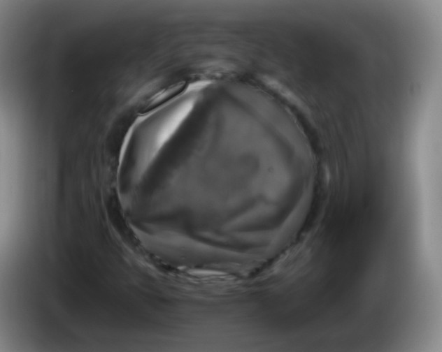 X0000083981399200703091814