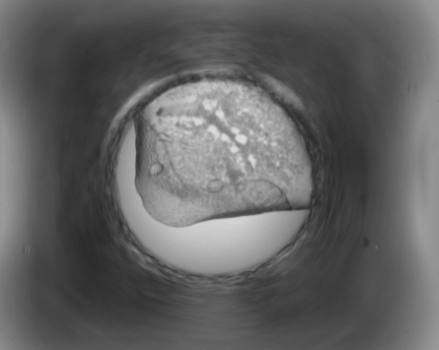 X0000083981400200703091814