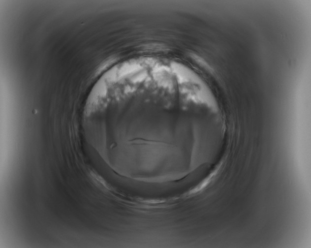 X0000083981401200703091814