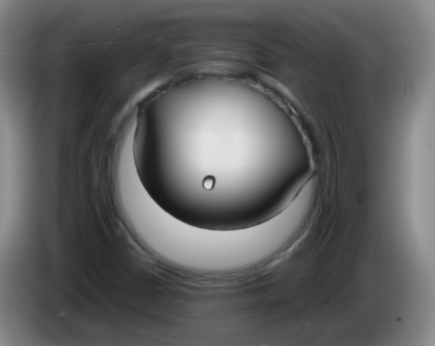 X0000083981402200703091814