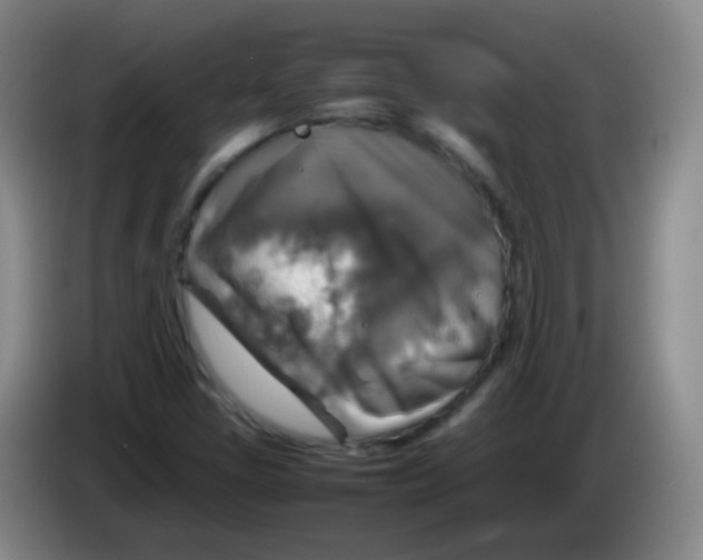 X0000083981405200703091814