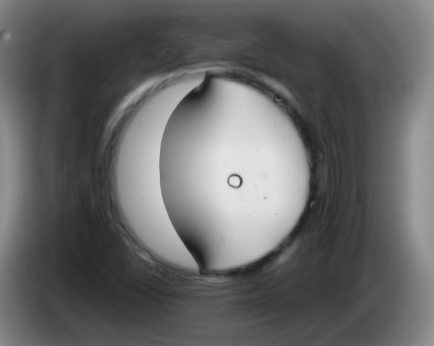 X0000083981406200703091814