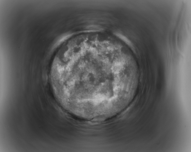 X0000083981407200703091814