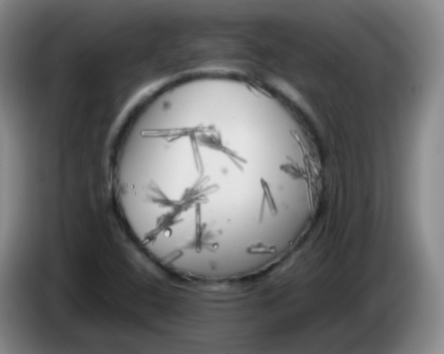 X0000083981408200703091814