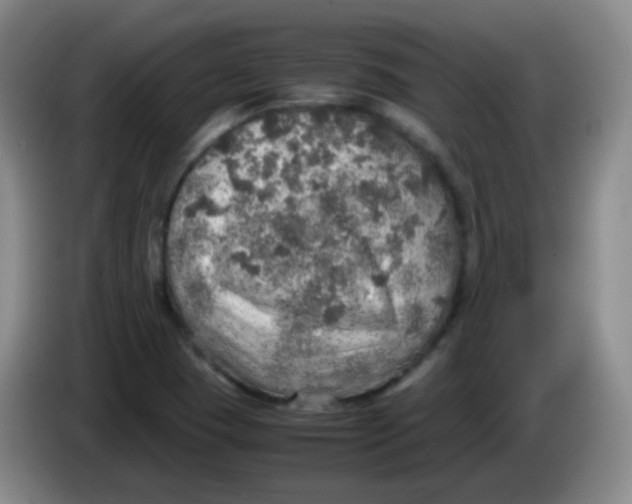 X0000083981409200703091814