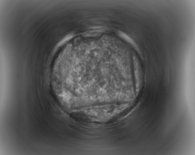 X0000083981411200703091814