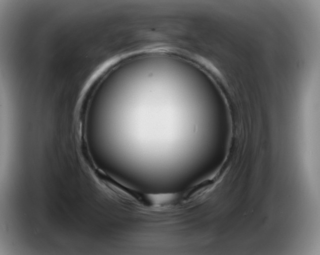 X0000083981414200703091814