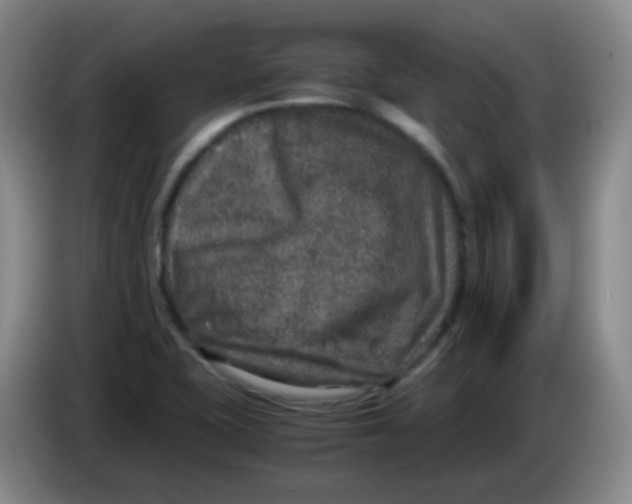 X0000083981415200703091814