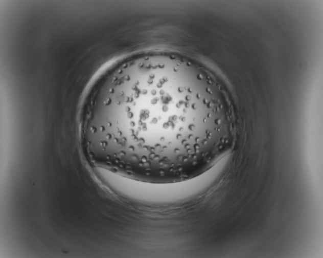 X0000083981416200703091814