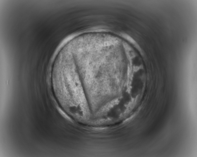 X0000083981421200703091814