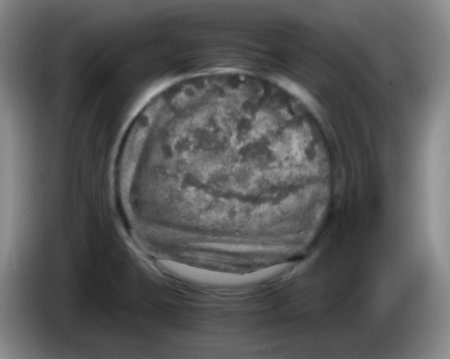 X0000083981423200703091814