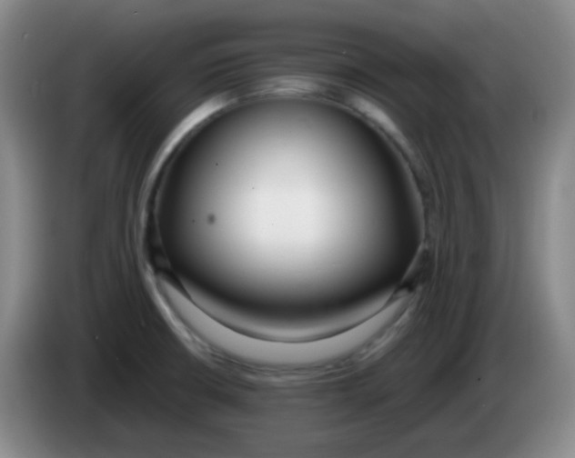 X0000083981426200703091814