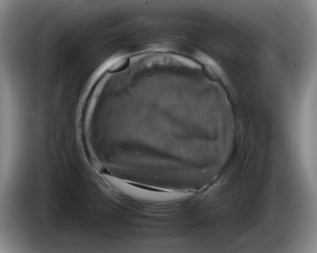 X0000083981427200703091814