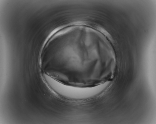 X0000083981428200703091814