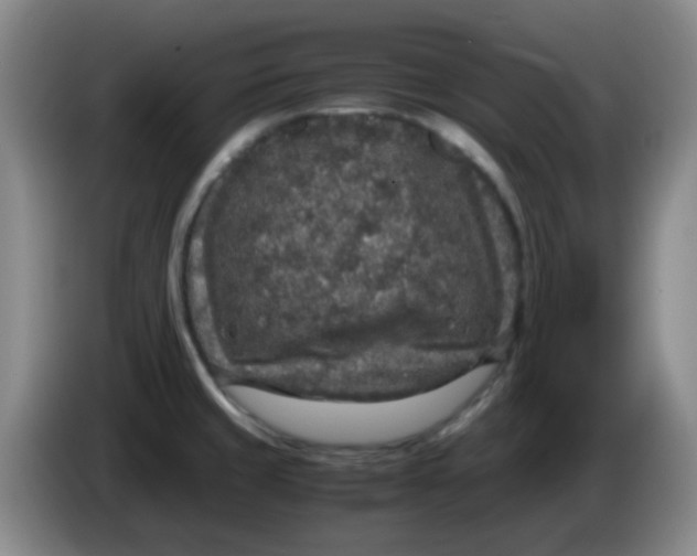 X0000083981429200703091814