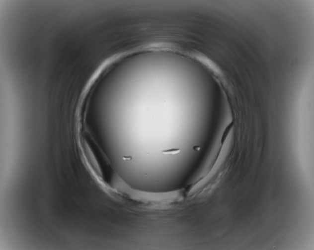 X0000083981430200703091814