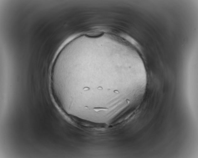 X0000083981431200703091814