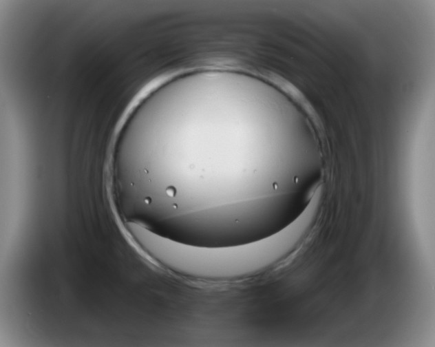 X0000083981432200703091814