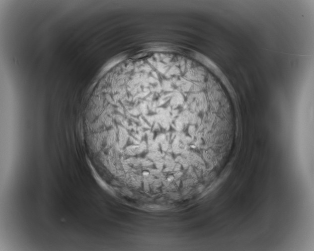 X0000083981433200703091814