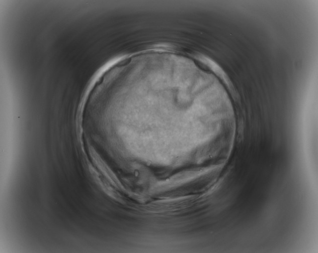 X0000083981435200703091814