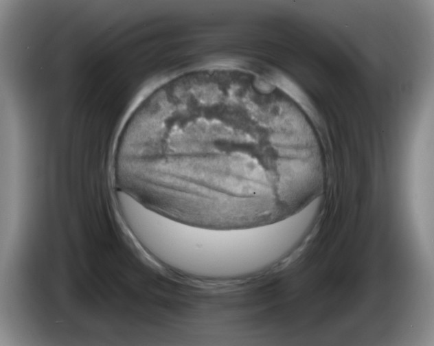 X0000083981436200703091814