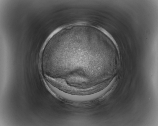 X0000083981437200703091814